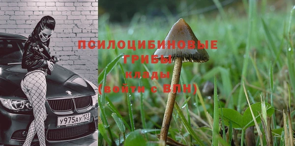 COCAINE Алексеевка