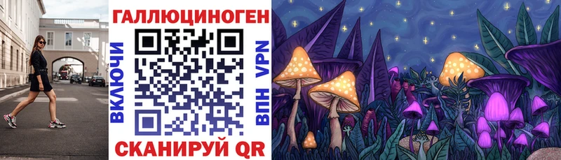 где купить наркоту  Аргун  Псилоцибиновые грибы Psilocybine cubensis 