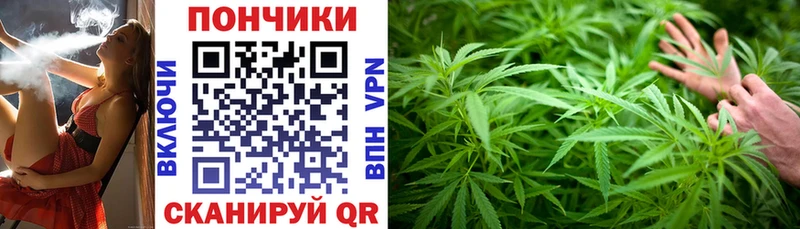 где купить наркоту Аргун Канабис план